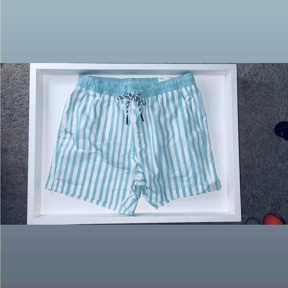 American Eagle striped Swim Shorts